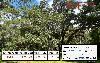 EF-23851-W9FTR.jpg